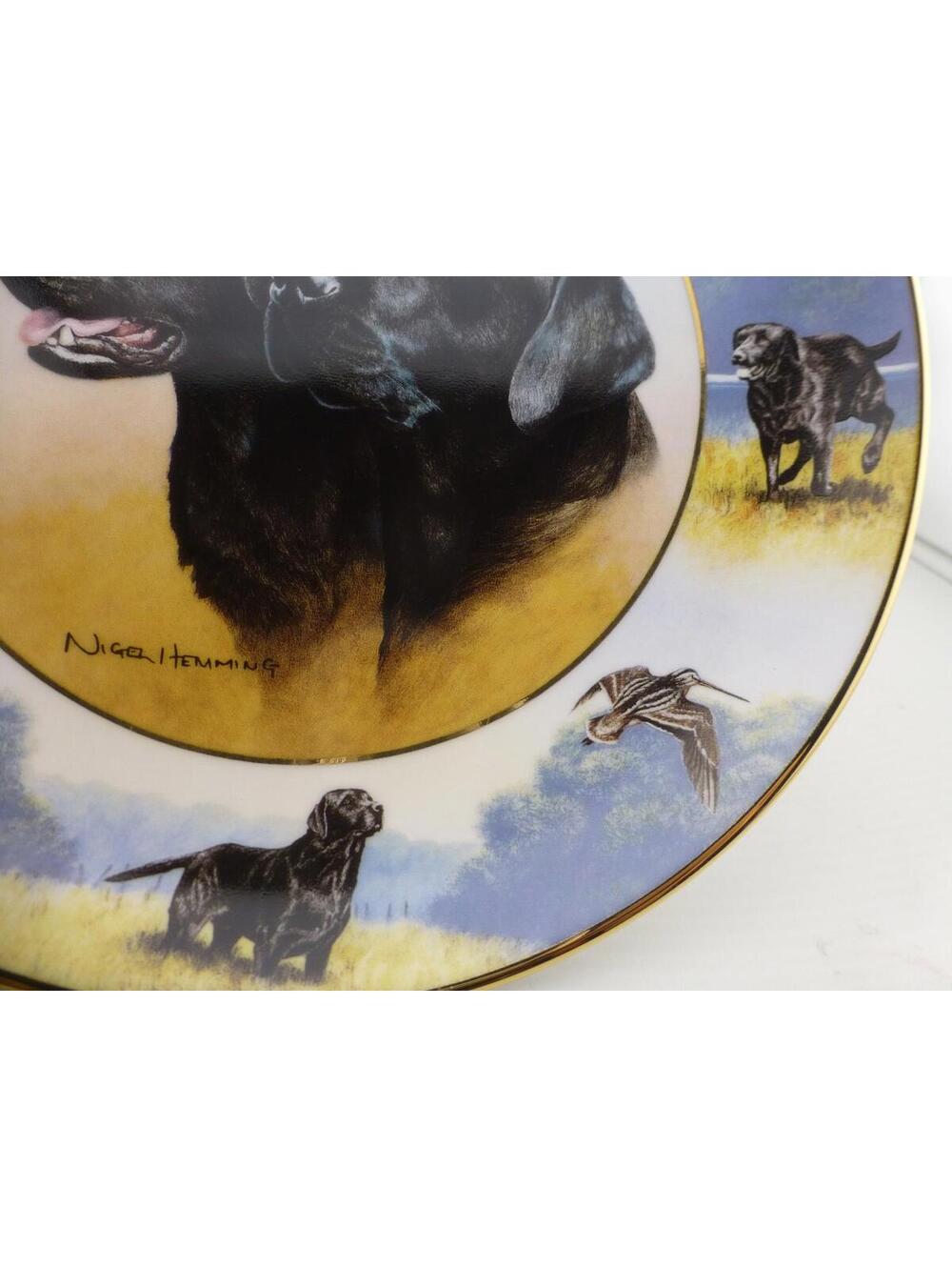 Royal Doulton Franklin Mint Sporting Life Black Labrador Retriever Plate D13 - Picture 7 of 9